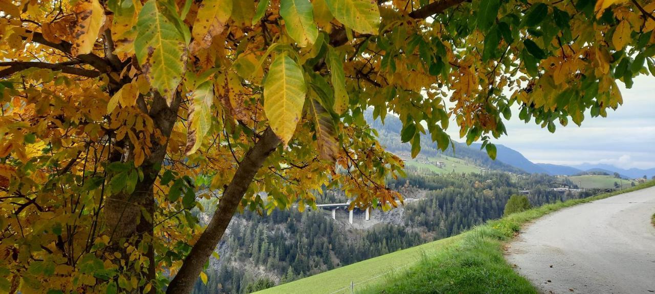 Ferienwohnung Steinhof Gries Exterior foto